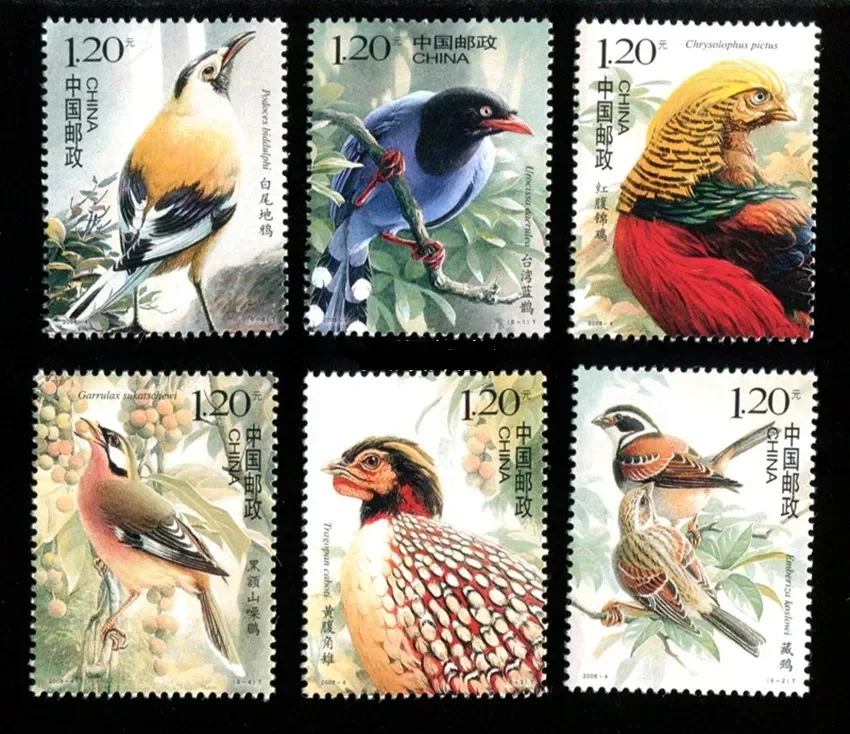 6Pcs/Set New China …