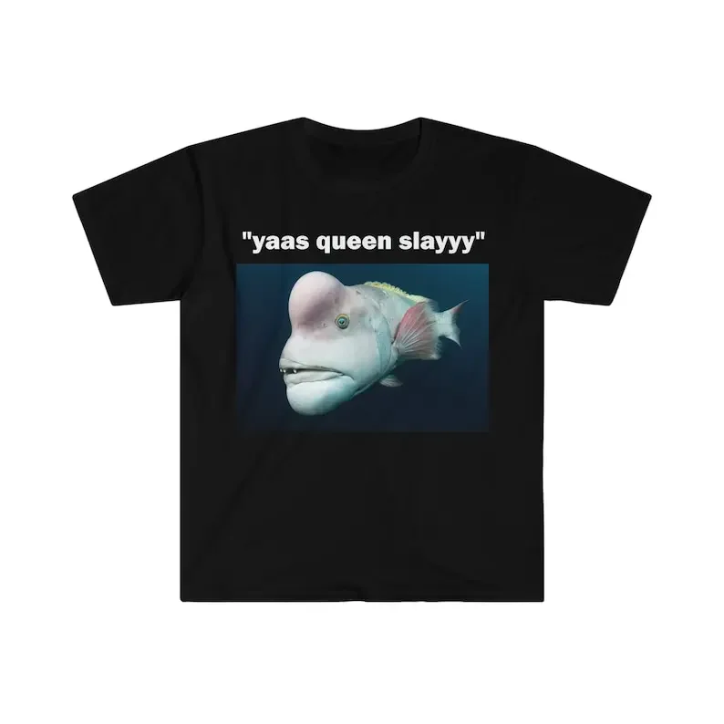 

Yaas Queen Slayyy T-Shirt, Funny Saying Shirt, Sarcastic Shirt, Meme T-Shirt