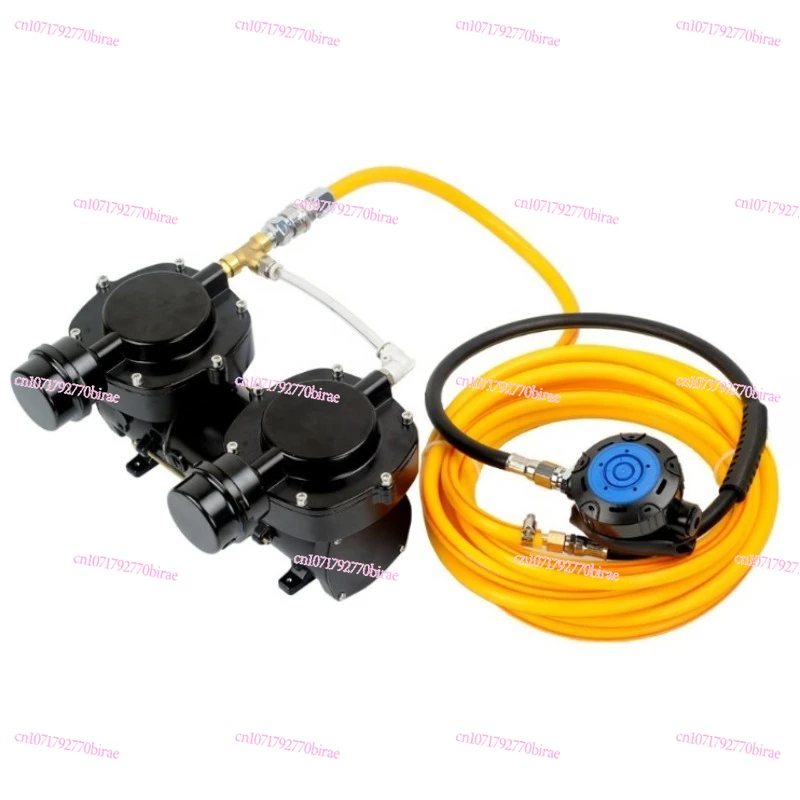 

Electric Vacuum Pump Diving Equipment Scuba Diving Hookah System Dry Submersible Air Pump