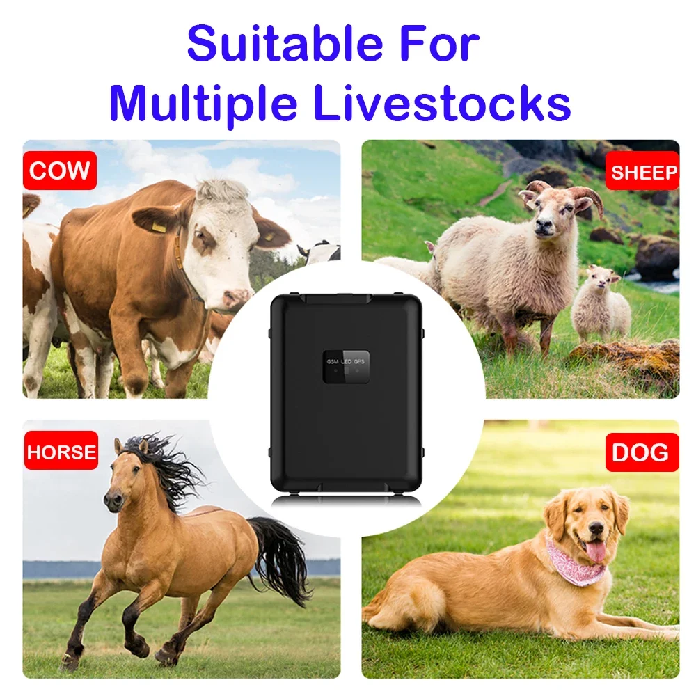 4G GPS Tracker Sheep Cow Cattle Horse GPS Tracking Device Geo-fences Waterproof Locator App Alerts 20000mAh Long Standby Time