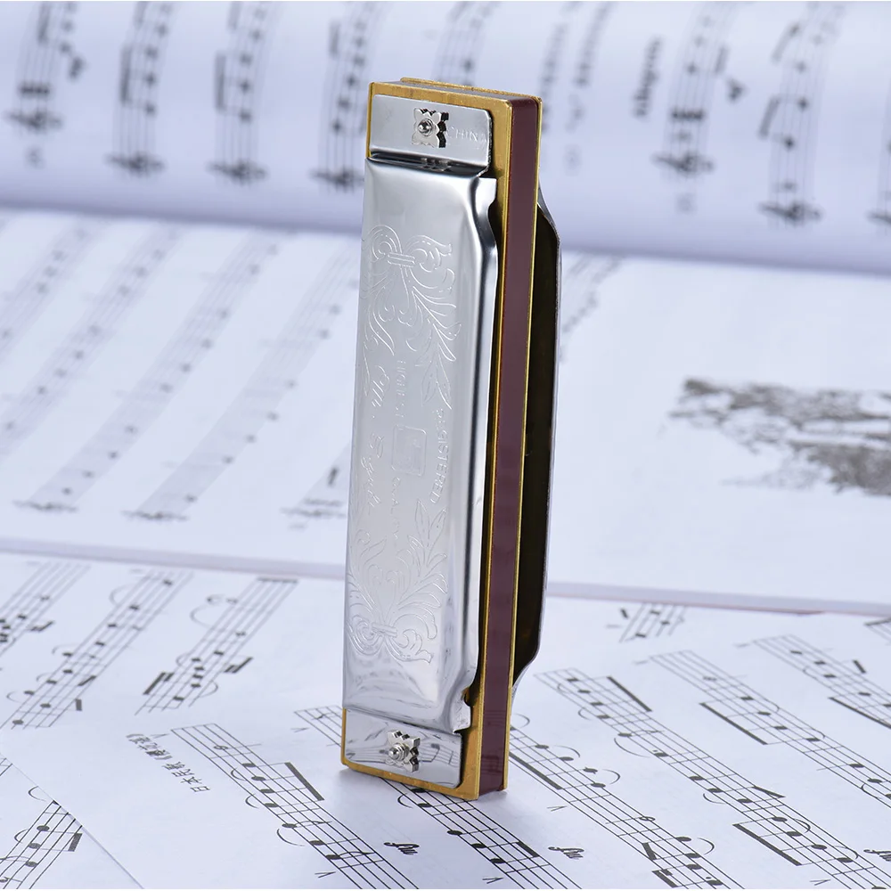 Suzuki Folkmaster Blues Mundharmonika Standardschlüssel von C A B E F G Schlüssel 10-Loch 20 Töne Diatonische Blues Gaita Mundharmonika für Anfänger – Detail 10
