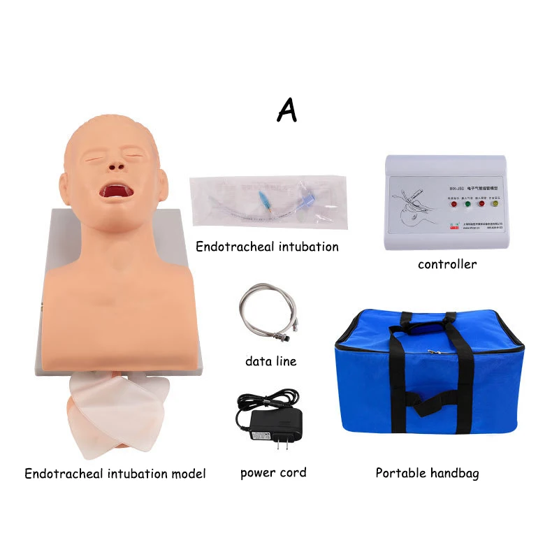 PVC Adult Intubation Manikin Teaching Model, Airway Management Trainer Tracheal Intubation Training Simulator Model, Science Lab