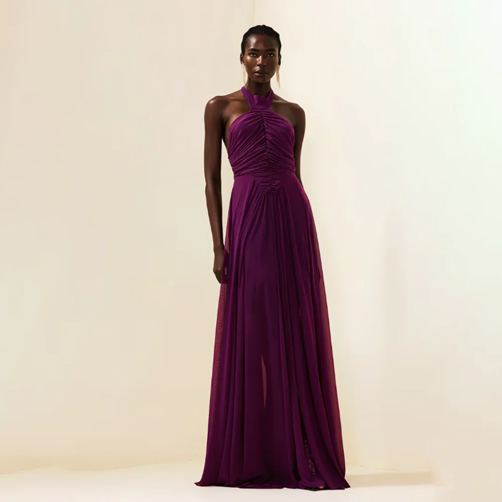 

Women's Formal Evening Gowns Chiffon Halter Pleated Evening Dresses Elegant Formal Party Gowns for Women Formal Occasion Dresses