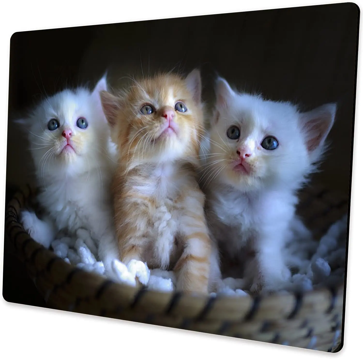 

Funny Cute Puppy And Kitten Printing Lock Edge Mousepad Gamer Mouse Mat Keyboard Mats Desk Pad Mousepads 30x25cm