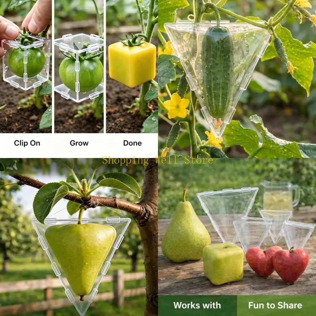 KX4B Gardening Fun With Fruit Shaping Tool Triangle And Square Mold For Kids And Adults Education To Grow Artistic Produce
