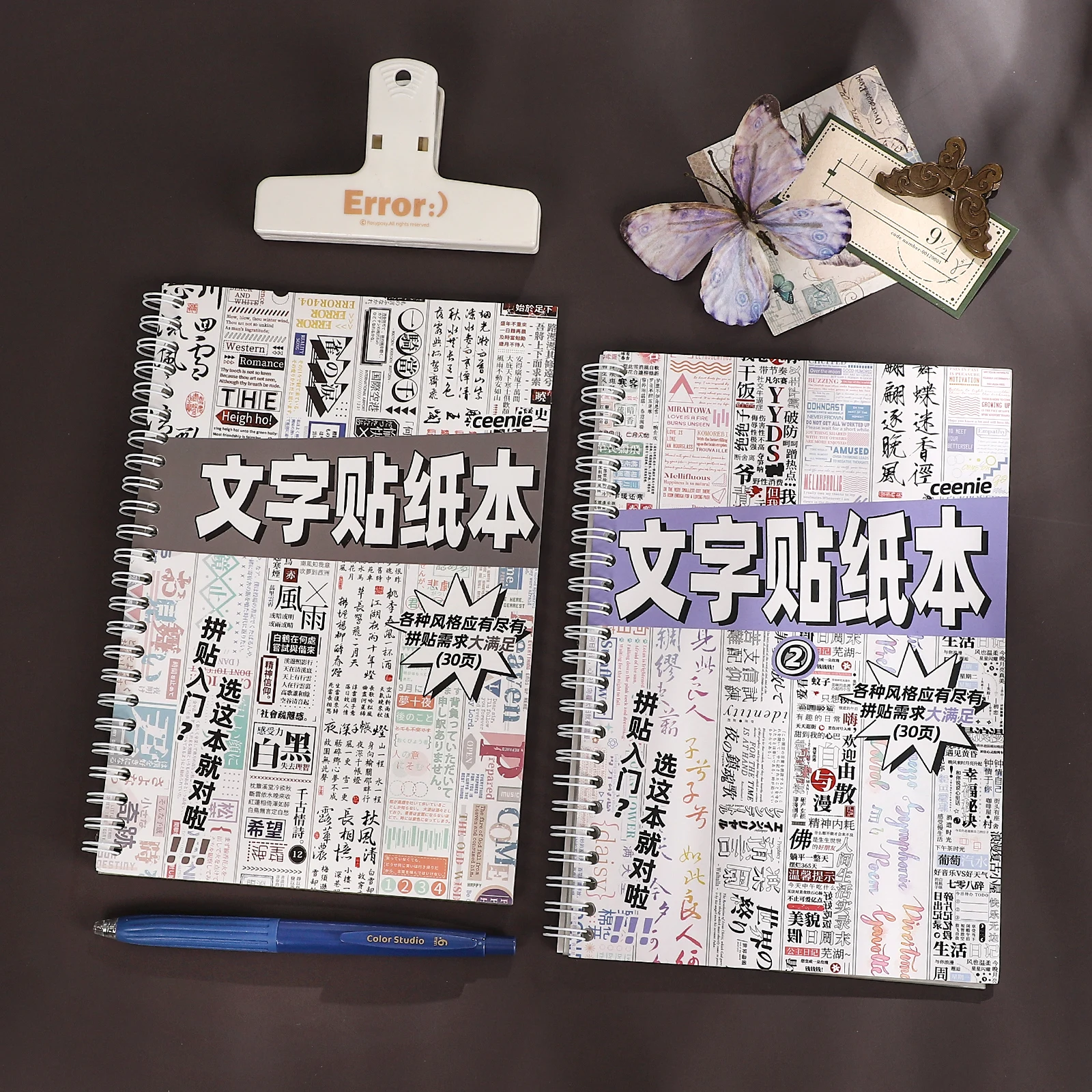 30 Sheets Vintage Chinese Text Landscape PET Sticker Book Creative DIY Journal Material Collage Scrapbook Stationery