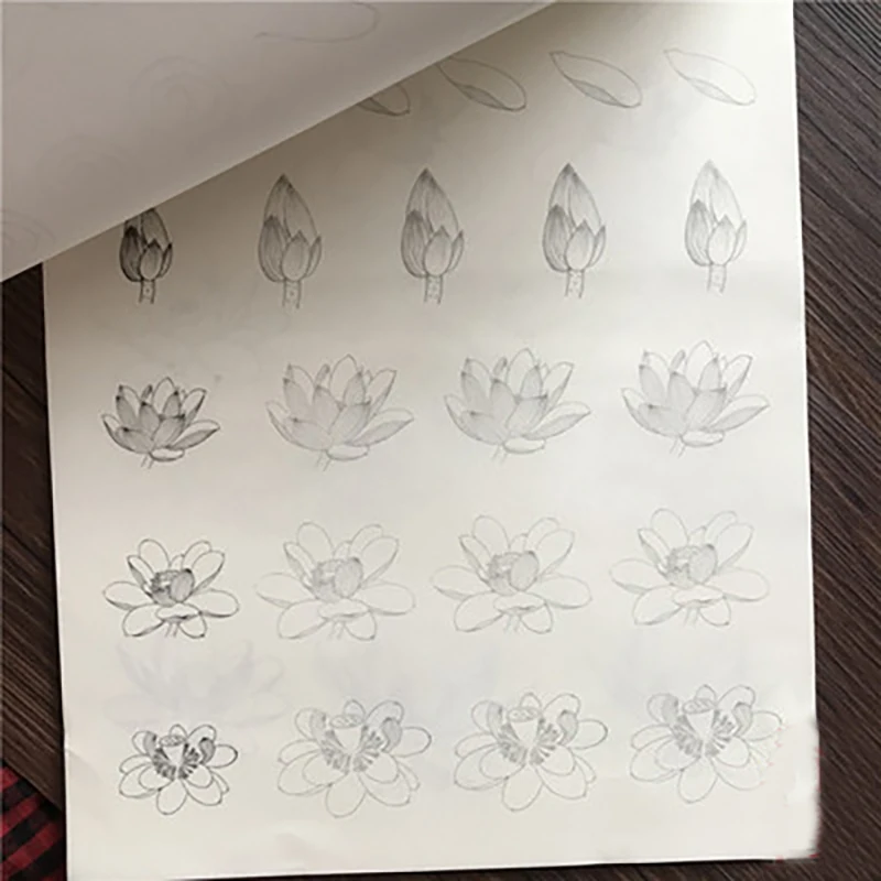 Fine Brushwork Line Drawing Zero Basic Copybook per Landscape Stone Mountain Animal Bird Flower Plants