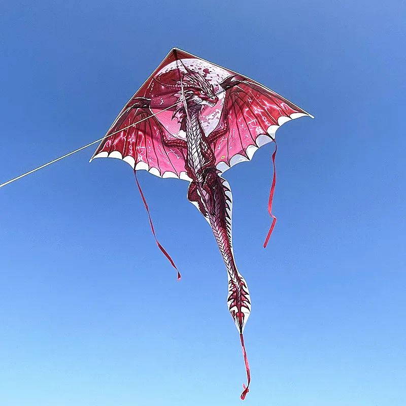 Frete grátis pterosaur kite dragão voando profissional kite peonzas con cuerda linha de pipa kite drachen jogos ao ar livre hoka