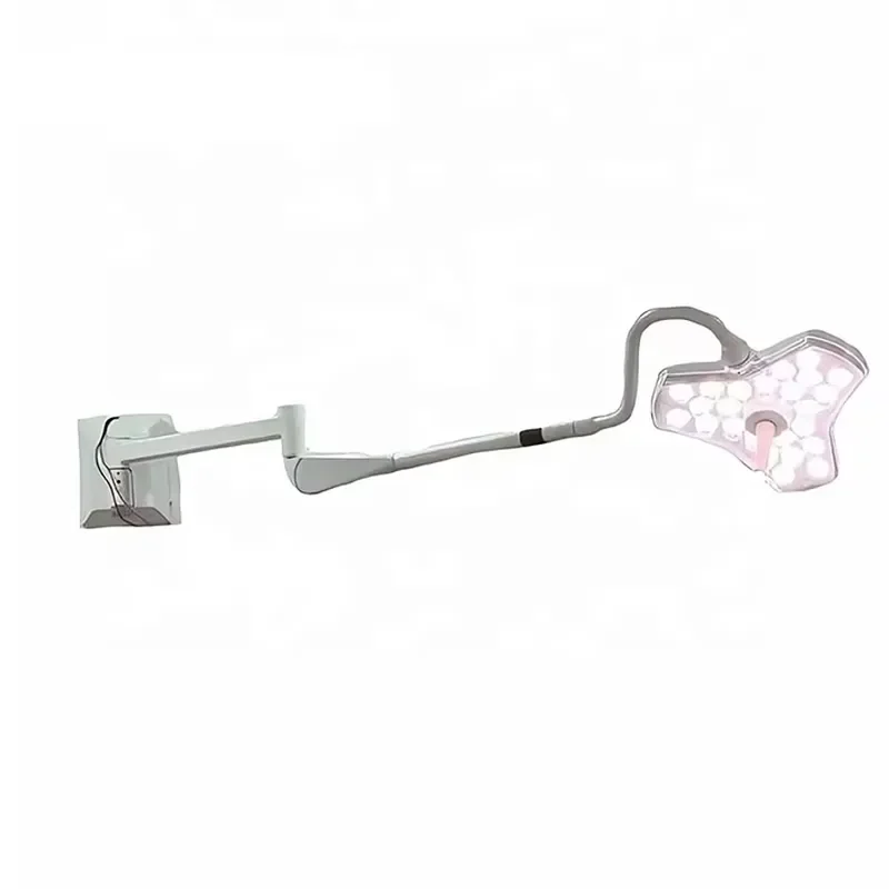 Modern Medical Single Head Medical Wall Mounted Examination Lamp for Operating Room Diagnostic Lighting