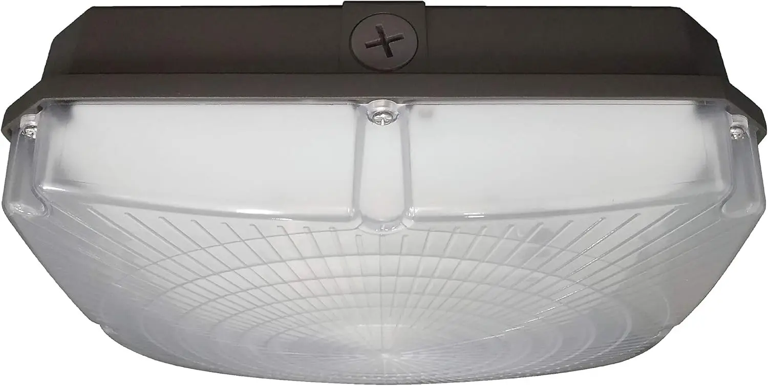 Lighting 45923682438 LED Canopy Fixture, White