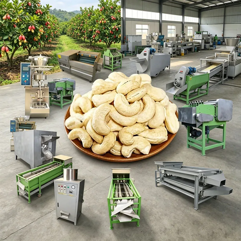 Cashew Processing Line with Shelling Machine Peeling Machine Oven Air Compressor for White Kernels Customized