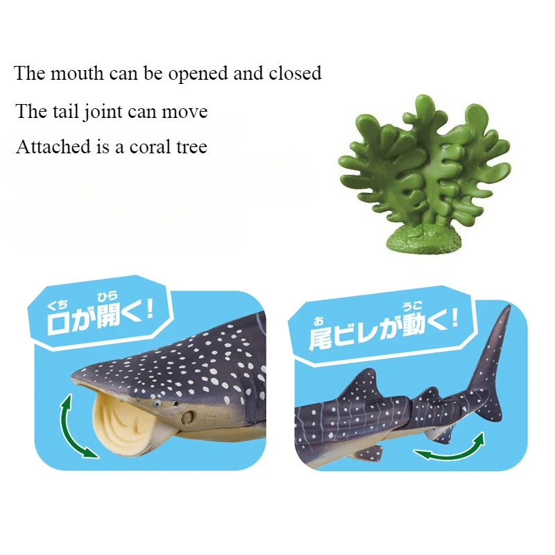 TAKARA TOMY Anlia Simulated Marine Animal Model Whale Shark Floating Version Children's Collection Ornament Toy Birthday Gift