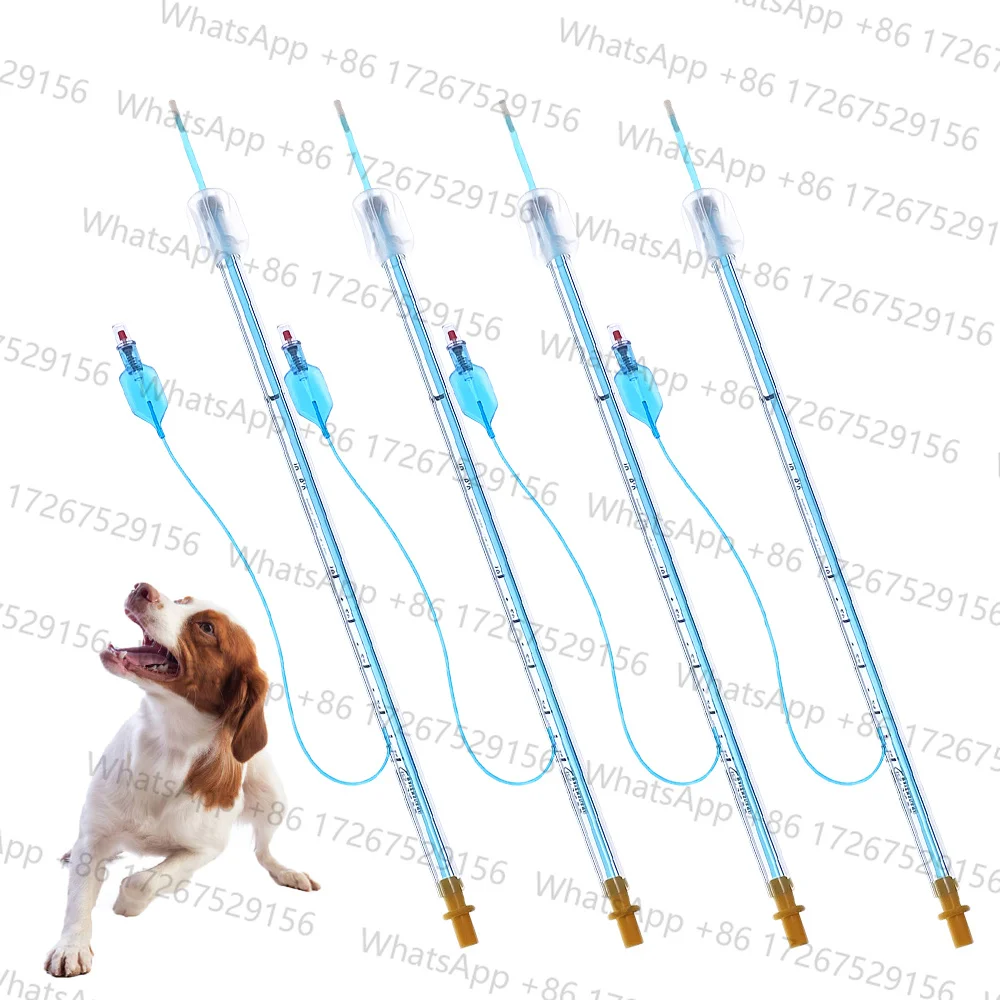 Pet Canine Dog Vas Deferens Pet Artificial Insemination Outer Tube and Catheter Airbag Through Uterine AI Catheter Kit for Dogs