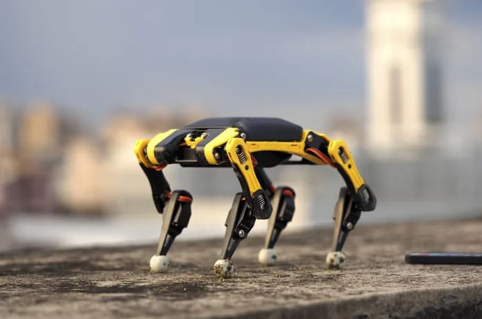 Bittle: A Palm-sized Robot Dog for STEM and Fun