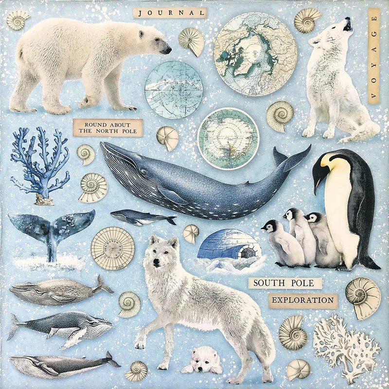 Arctic sea animals Stickers Crafts And Scrapbooking stickers kids toys book Decorative sticker DIY Stationery