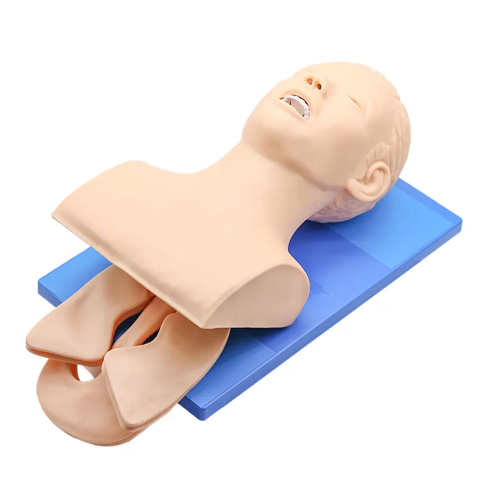 Intubation Manikin Study Teaching Model Airway Management Trainer PVC With Teeth 110-220V