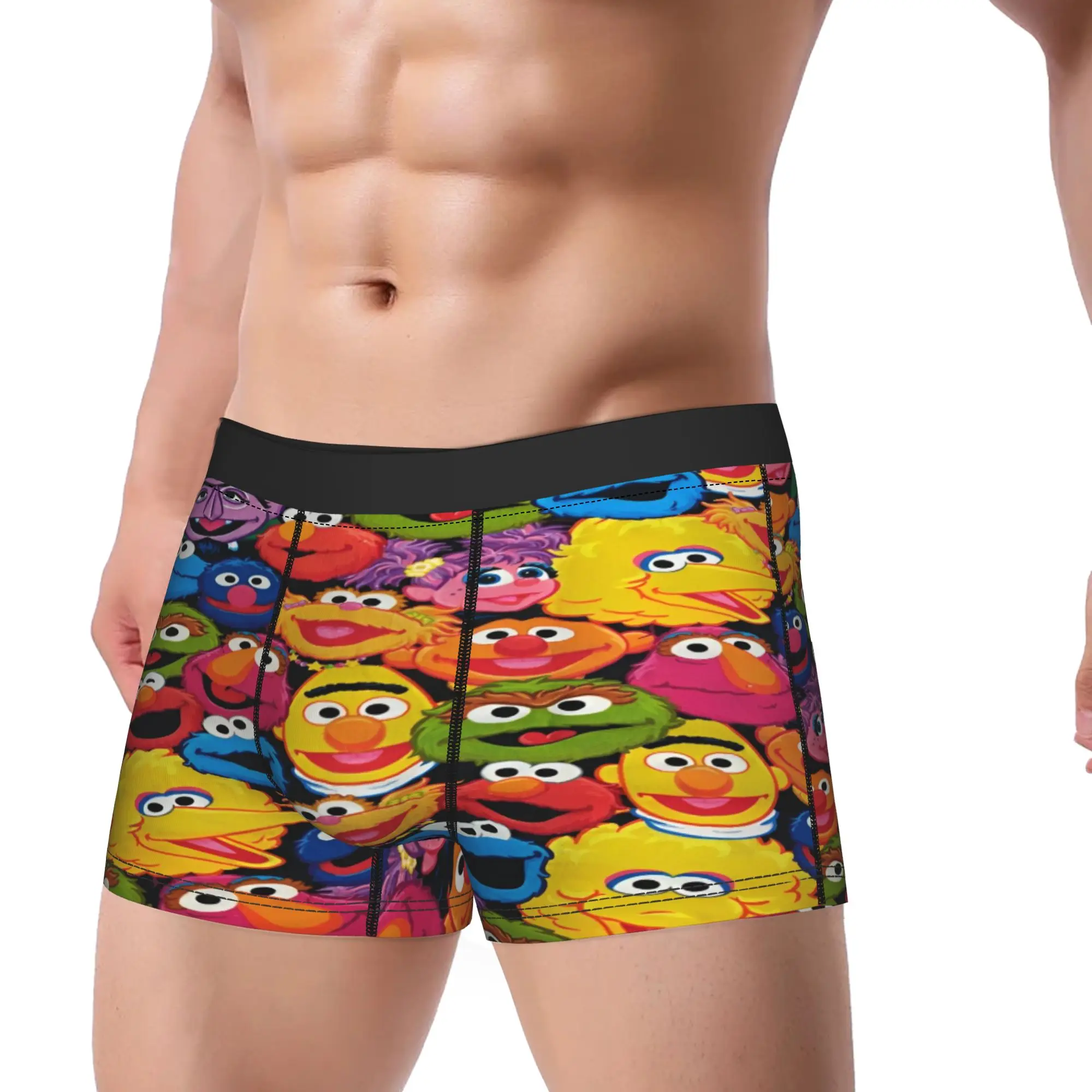 Sesames Streets Underwear  Custom Boxer Shorts Hot Sale Males Panties Comfortable Boxer Brief Birthday Present