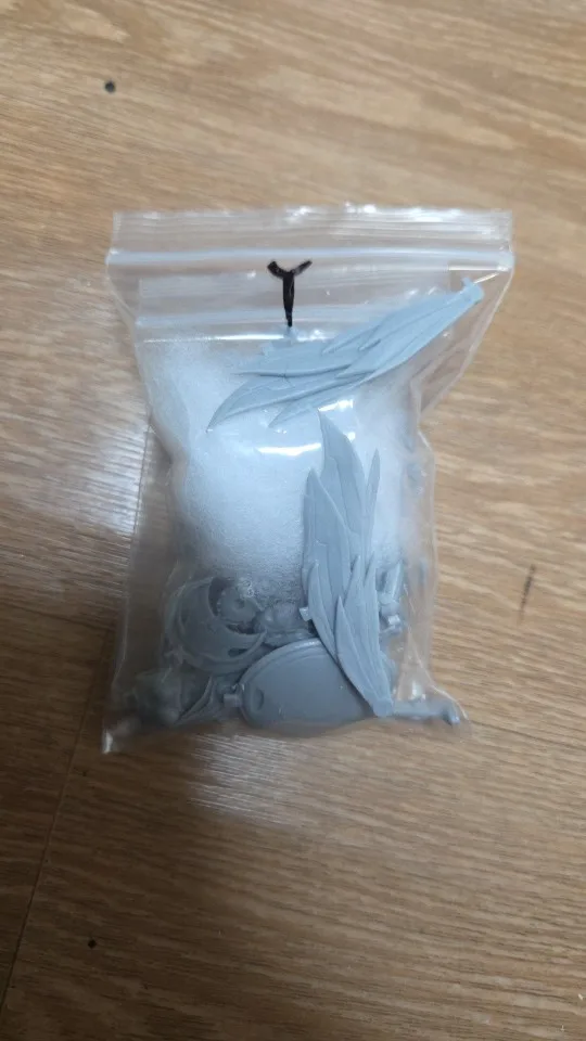 Buyer photo of this resin kit