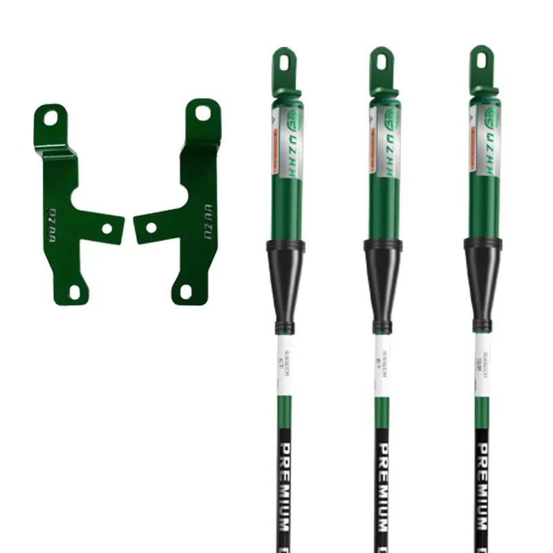 Upgrade of Anti-roll Suspension of  with Tuned Shock Absorber for