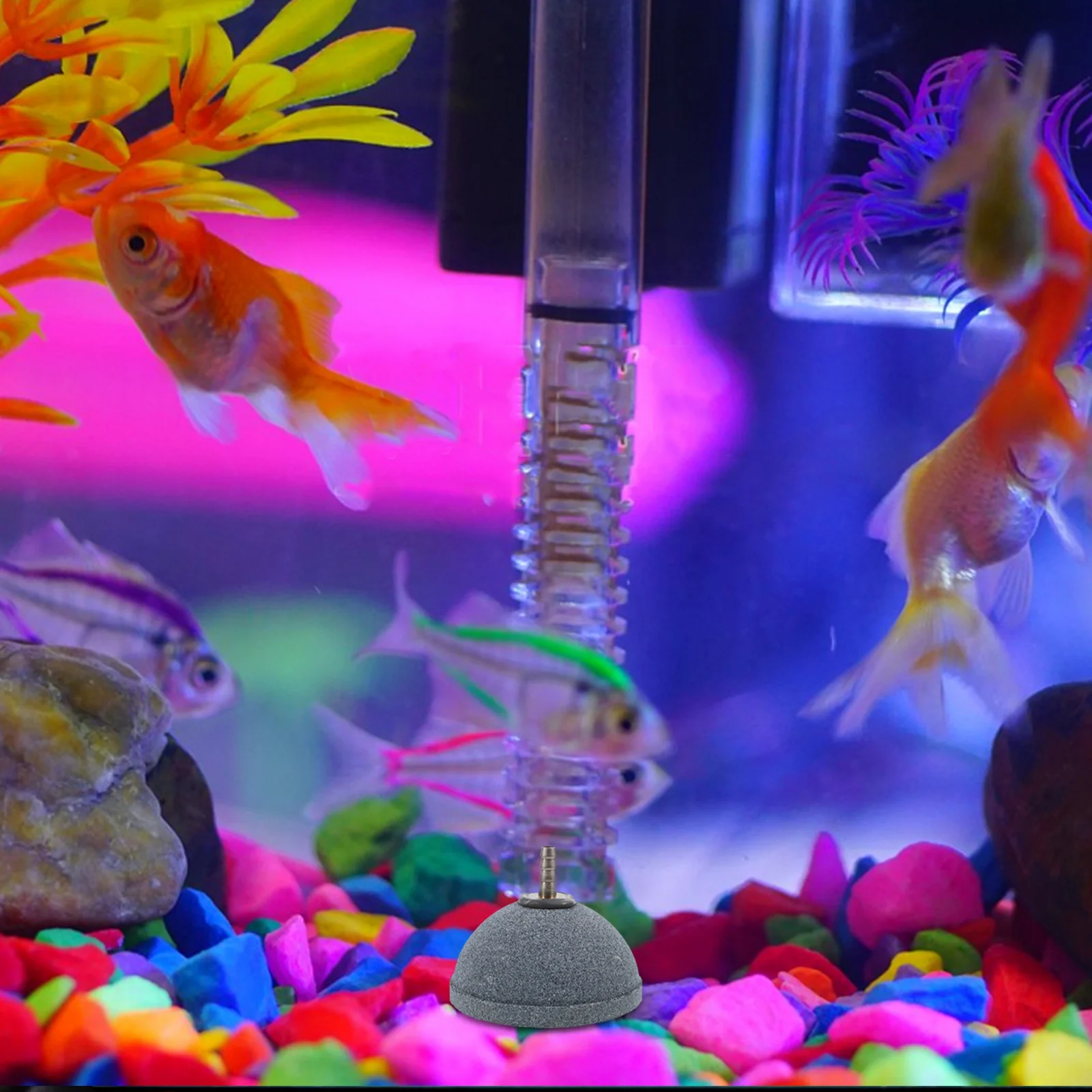 

Fish Tank Air Stone Bubble Diffuser Half Ball Shaped Round Aerator Stone High Temperature Resistance Long Lasting Durability