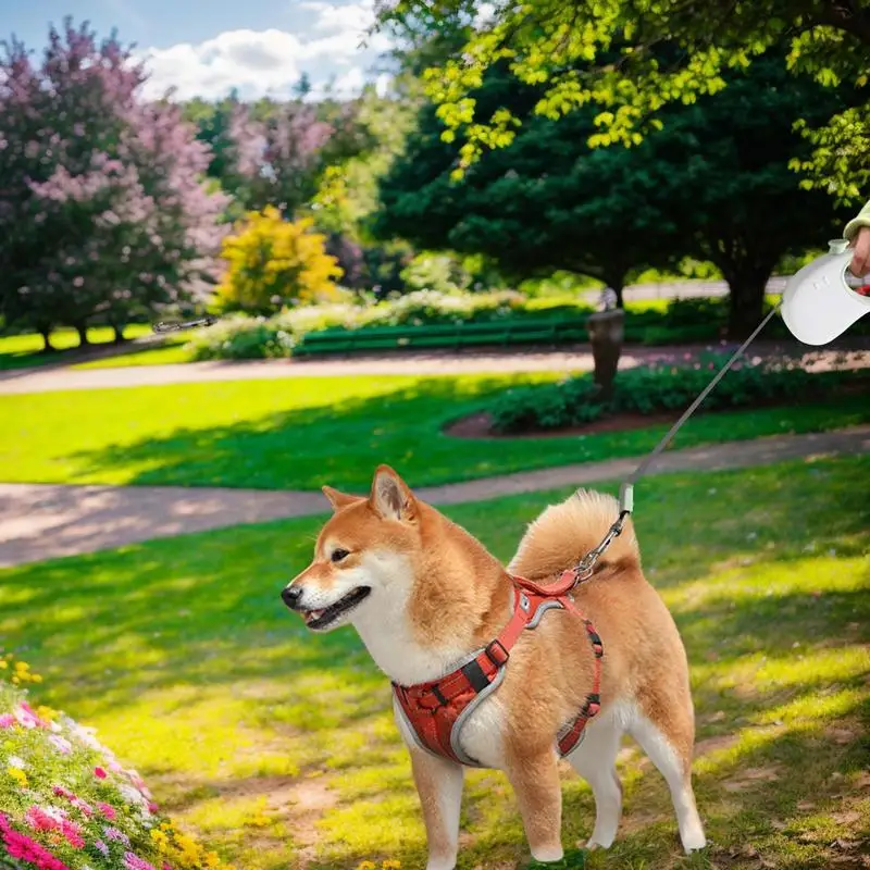 Telescopic Dog Traction Rope Traction Rope Dog Rope Reflective Tape Lead Long Lead Rope Security Strap Pet Rope Dog Walking Rope