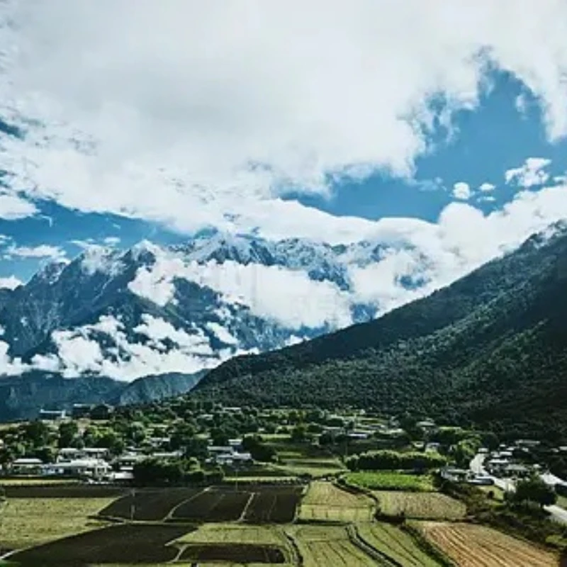 

M8N 8N GPS Flight Controller GPS-модуль с корпусом и подставкой для APM/PX4 Pixhawk/Mini APM GPS Металлический держатель-подставка RC аксессуары