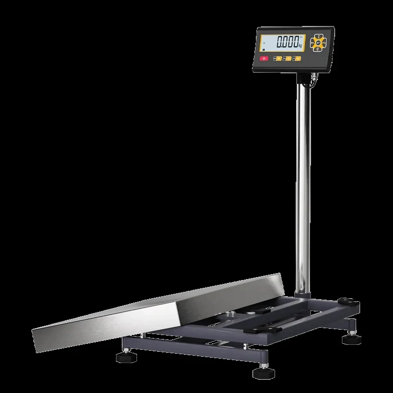 Industrial Stainless Steel 100Kg 300Kg 30Kg 60Kg 150Kg Bluetooth Postal Wtih USB RS232 Digital Platform Weighing Scales