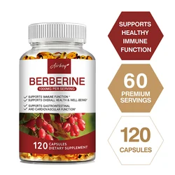 Berberine - Metabolism & Cholesterol Support, GI Support & Immune Support