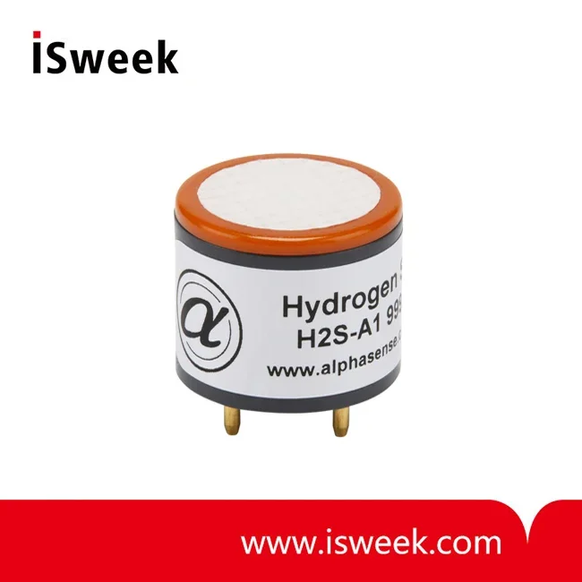 2026 Hydrogen Sulfide Sensor (H2S Sensor) - H2S-A1