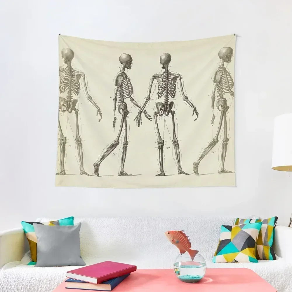 

Human Skeleton. Anatomy drawing Tapestry Things To Decorate The Room Room Decor Korean Style Bathroom Decor Tapestry