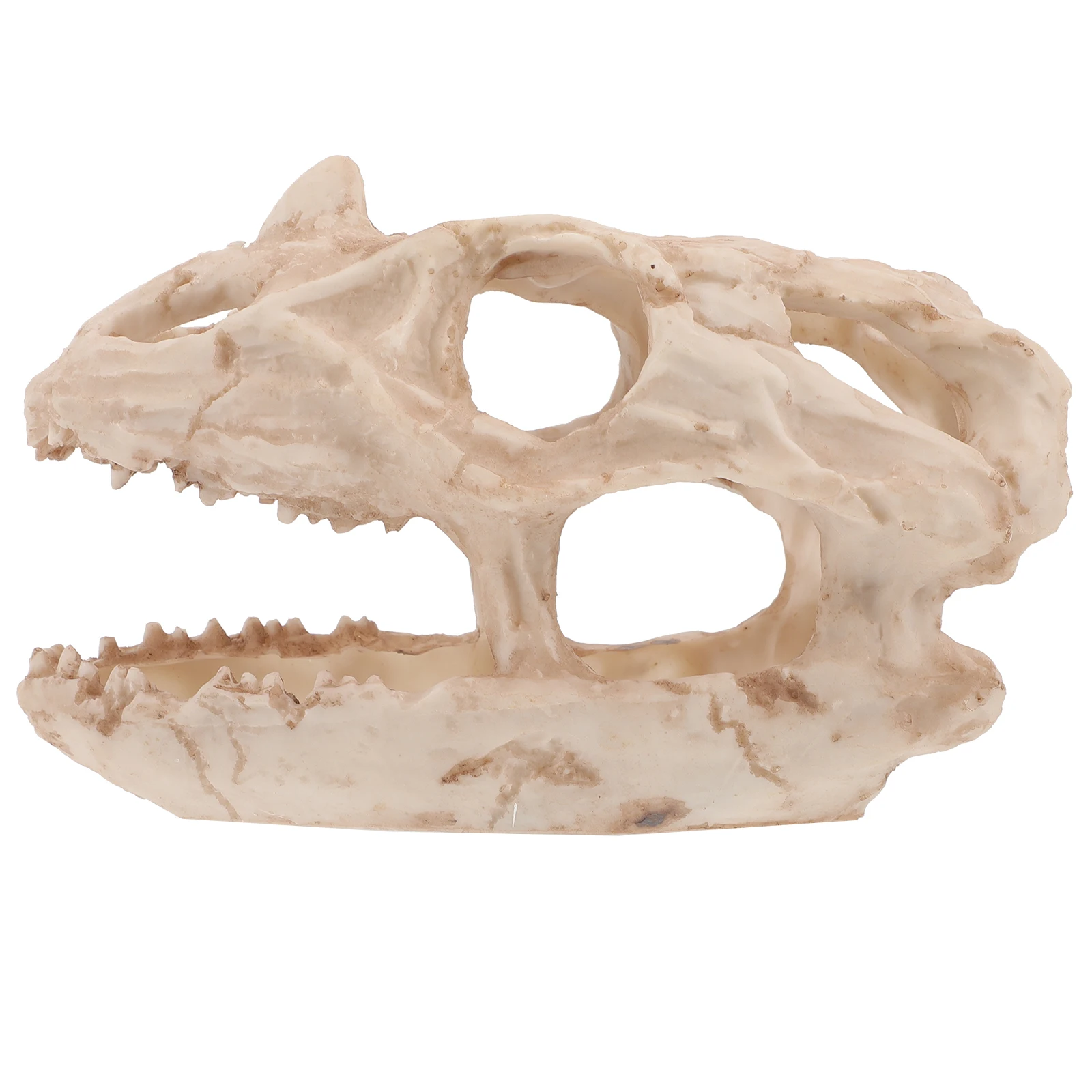 

Dinosaur Skull Ornament Resin Fish Tank Decorations Easy Clean High Grade Lifelike Aquarium Terrarium Landscape Home Decoration