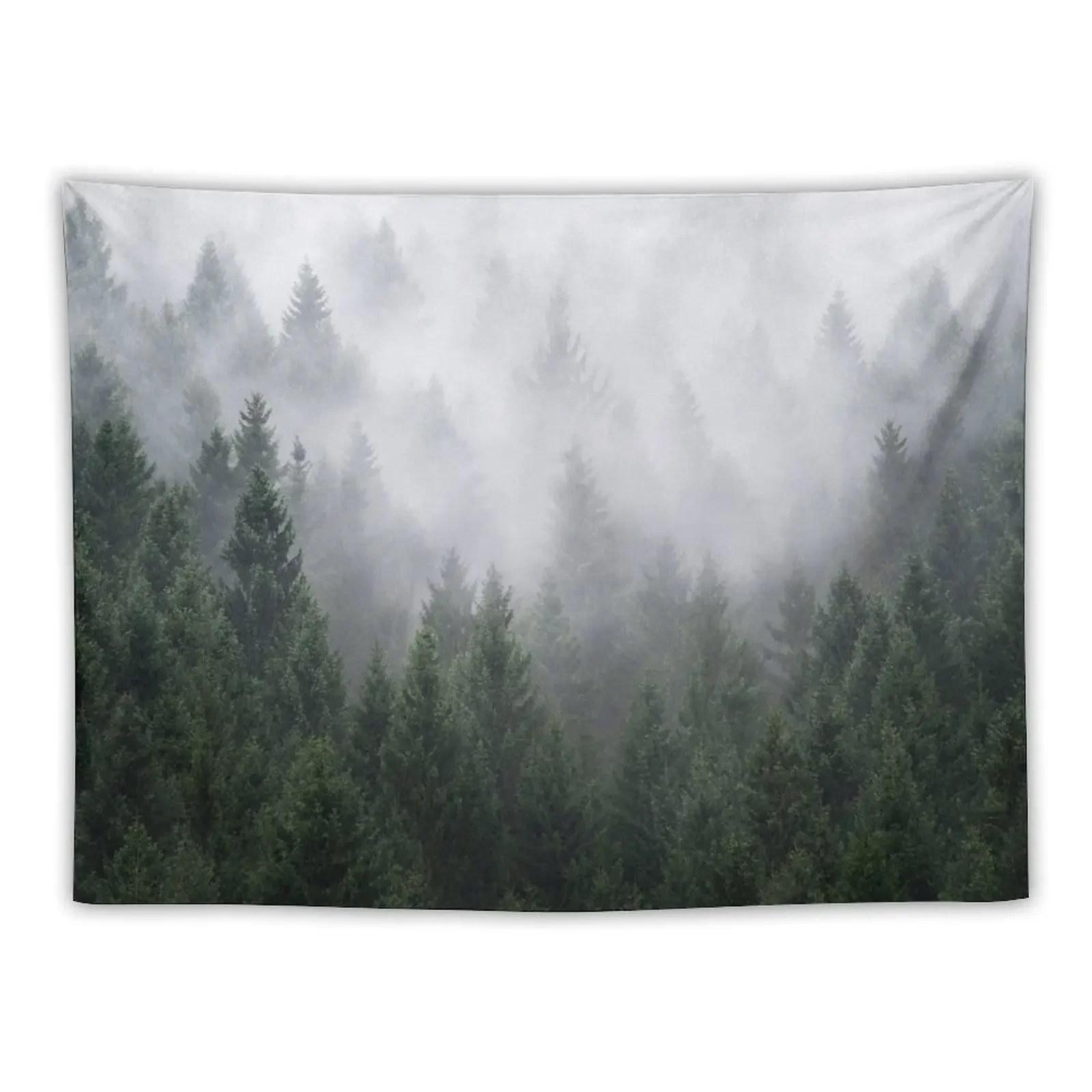 Home Is A Feeling // Misty Retro Fall Wilderness Fairytale Evergreen Forest With Trees Covered In Magic Fog Season Tapestry