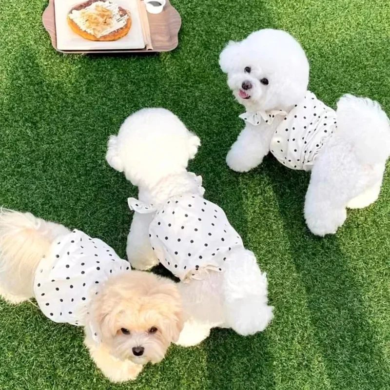 Cute Pet Dog Dress Dot Dog Summer Clothes Puppy Skirt Chihuahua Bichon French Bulldog Clothing Thin Girl Dog Costume Cat Dresses