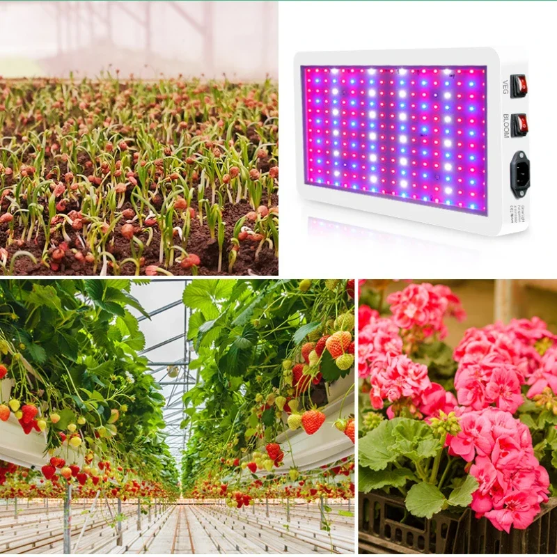 Luz LED de espectro completo IP65 para cultivo de plantas, lámpara hidropónica para invernadero, caja de iluminación para crecimiento de flores, 216/312 LED, novedad