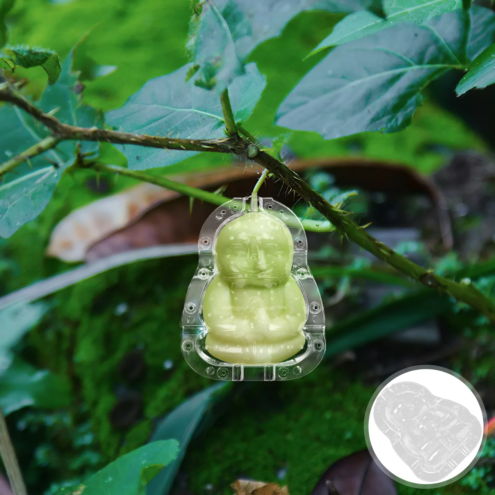 

2Pcs Pc Material Buddha Mold Transparent Fruit Molds Adorable Ginseng Shaping Mold for Garden Cultivation Pc Material