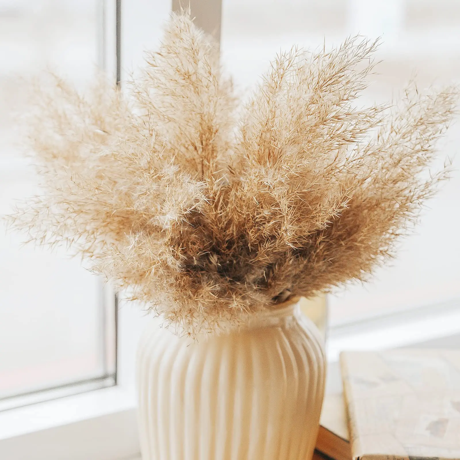 Fluffy Pompas Grass,Natural Dry Pampas Grass for Boho Room,Coffee Table Decor, Plant, Christmas Flower Decoration, 30Pcs