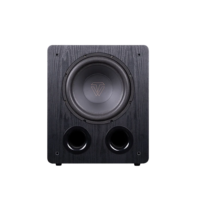 

2025Manufacture New arrival SW-1000 10 inch bass wood subwoofer 200W Amplifier output speakers and subwoofer