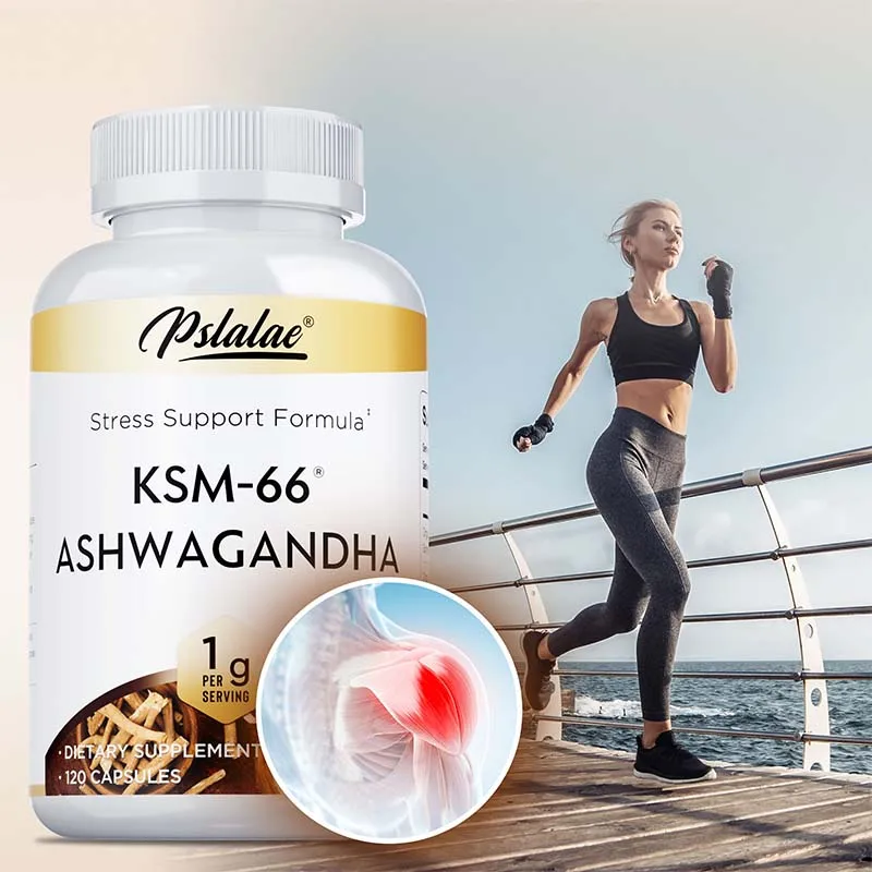

KSM-66 ASHWAGANDHA Capsule - Supports Adrenal and Thyroid Health, Boosts Energy, Muscle Recovery, and Overall Well-being