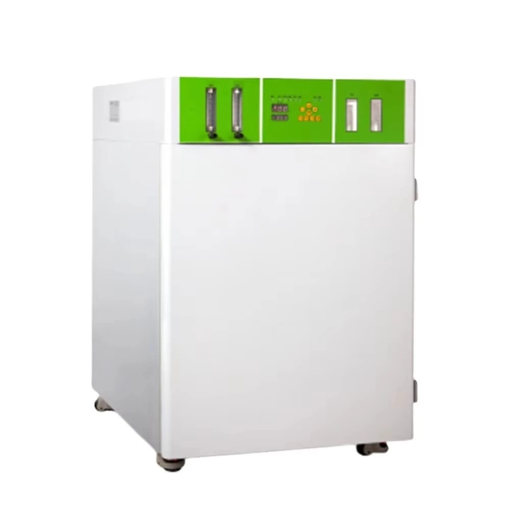 Laboratory CO2 Incubator Machine for Mushroom Cultivation Essential Equipment for Controlled Environment Growing