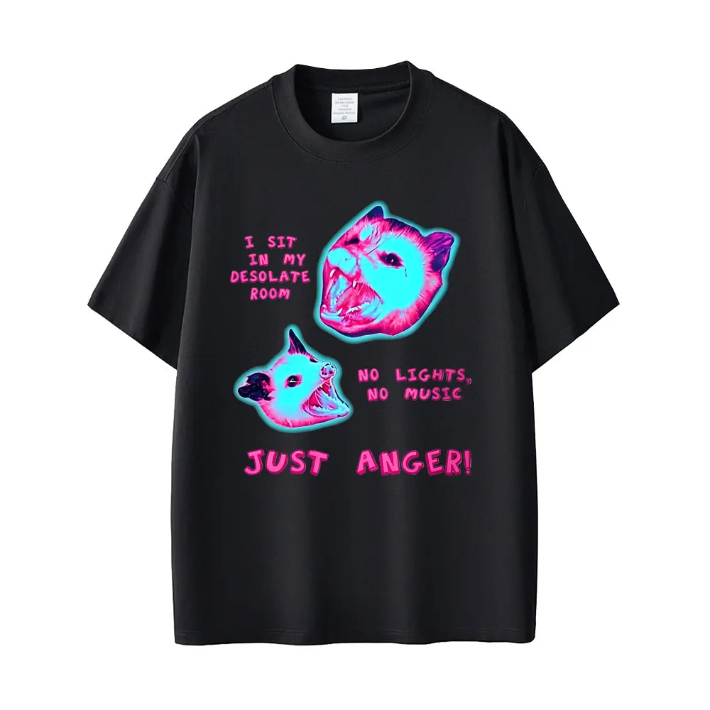 I Sit in My Desolate Room No Lights No Music Just Anger Rat Funny Meme Graphic T-shirt Men Women Casual Humor Vintage T Shirt