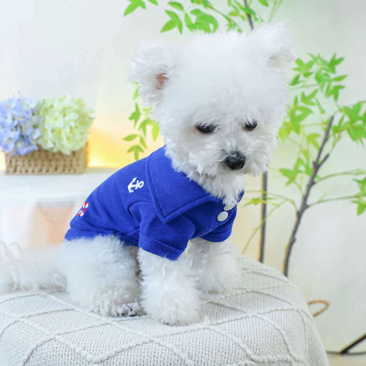 1PC Pet Clothing Dog Spring/Summer Thin Blue Bear Head Embroidered Short Sleeve Cat T Suitable for Small and Medium sized Dogs