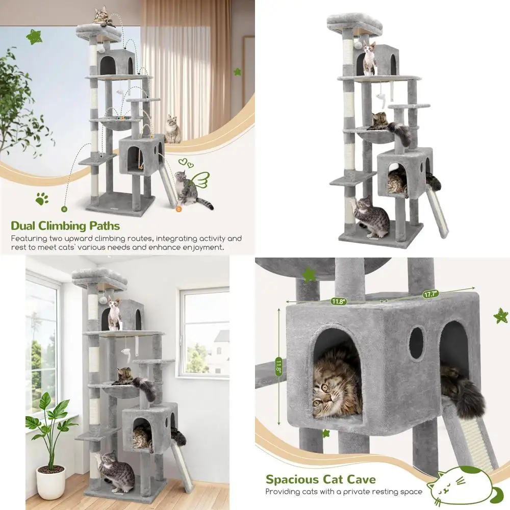 Sturdy 70 Indoor Ca…