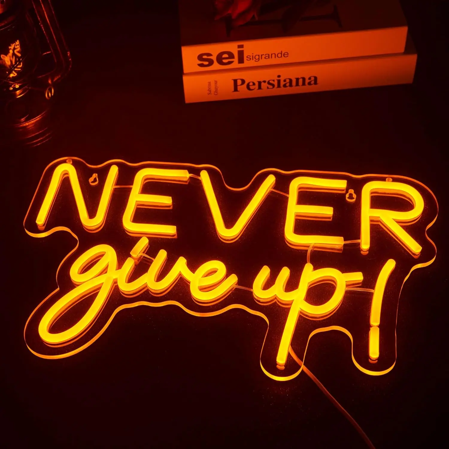

Never Give Up Neon Sign USB Powered Motivational LED Neon Light for Gym Bedroom Office Man Cave Home Art Decoration Gift