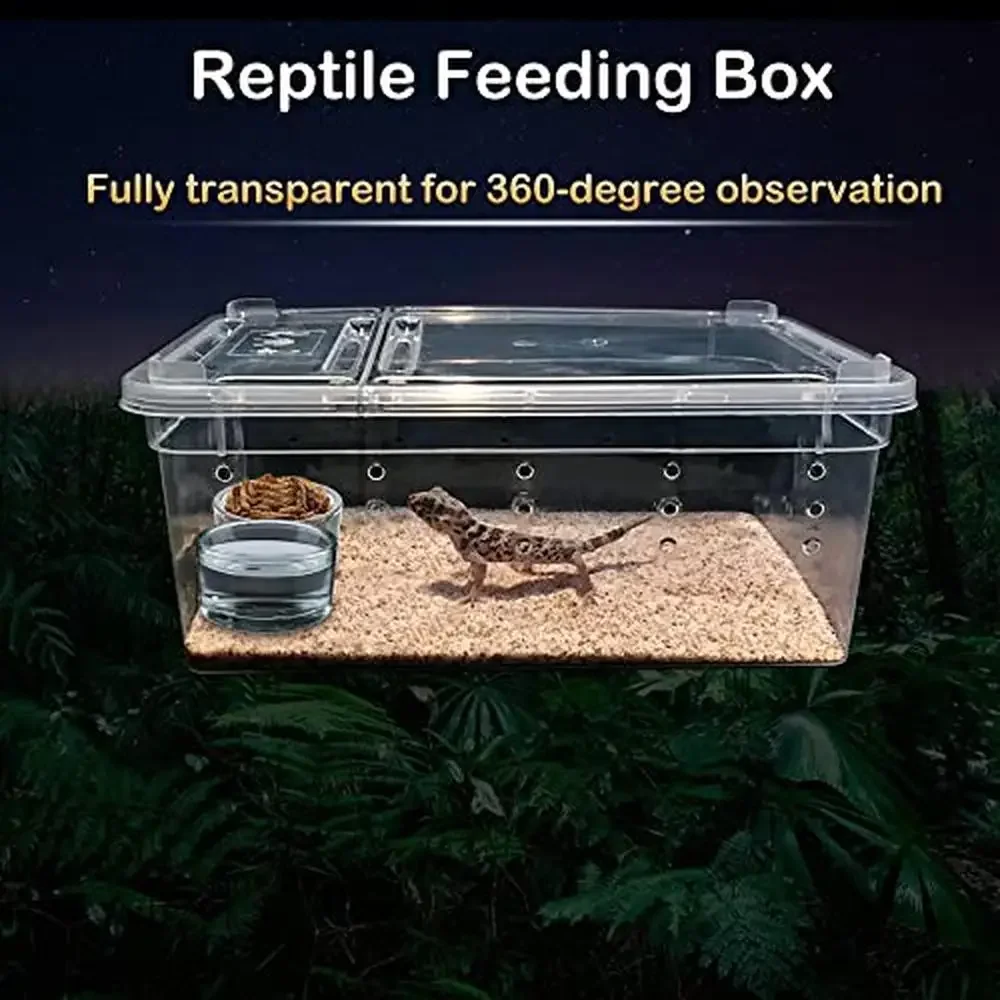 Reptile Feeding Box Plastic Transparent Breeding Habitat Gecko Snake Lizard Spider Frog Scorpion Kit 8 Pcs Set Large & Small