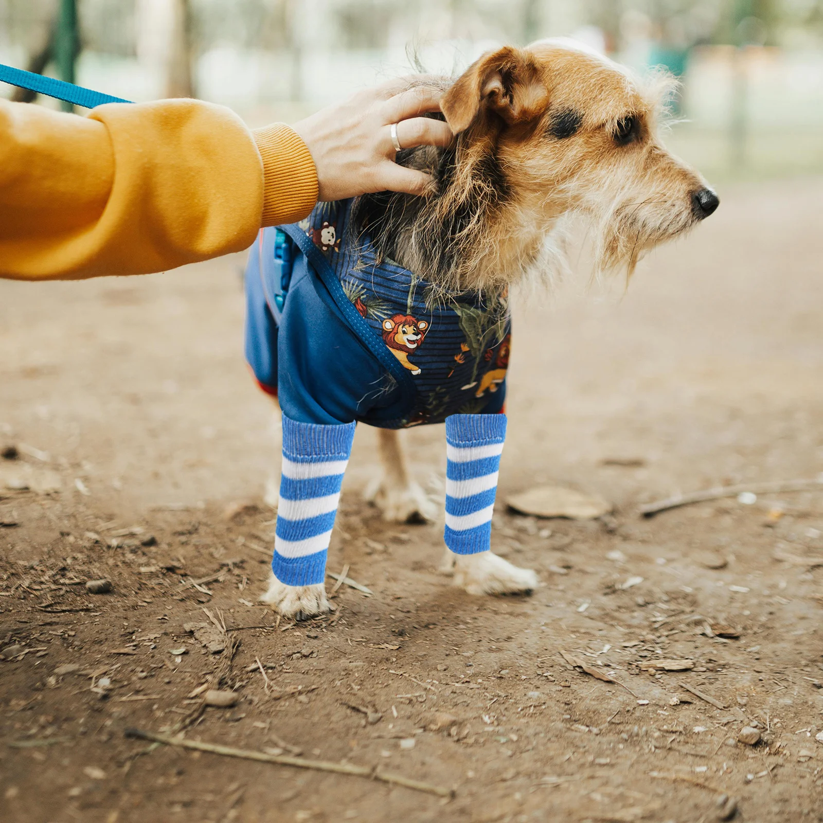 

4Pcs Pet Leg Protector Dog Elbow Sleeves Adjustable Knitted Warm Breathable Leg Wraps for Small Dogs Outdoor Winter Walks