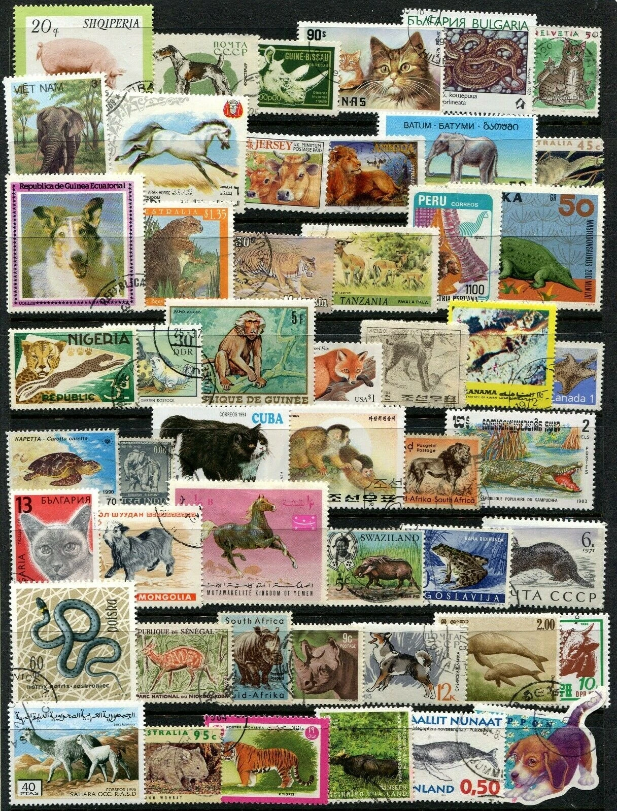 Wildtiere der Welt: Echte Briefmarken mit Tiermotiven, 100 verschiedene Tierbriefmarken, Sammlung, Sammlerbriefmarken – Detail 10