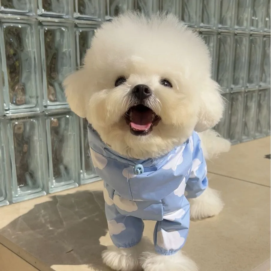 Ins multi in one waterproof heart-shaped cloud print pet raincoat  Dog Model Cute Hooded Dog Clothes Mascotas Dog Costume