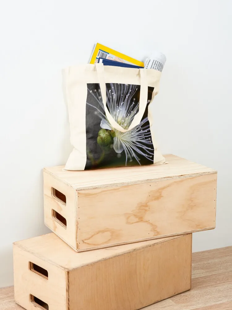 ليلي بلي حمل حقيبة حقيبة مخصصة حمل حقيبة امرأة فاخرة المرأة قماش حمل الحقائب