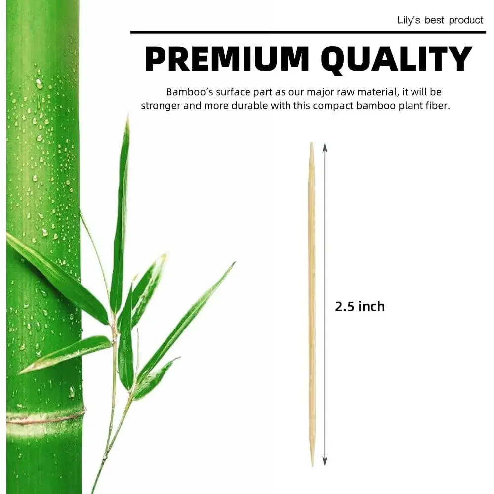 600 Count Wooden Toothpicks for Teeth Cleaning, Appetizers, Olives, Barbecues, Fruits, and Double Points