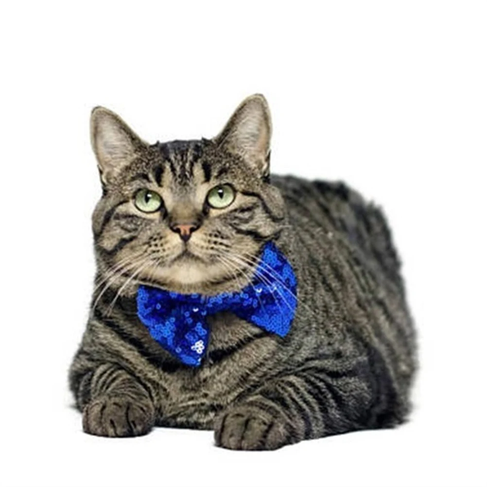 

1pcs Pet Birthday Hat Set Soft Dog Cat Party Hats Photo Shoot Accessories Bowknot Cosplay Headwear Happy Parade